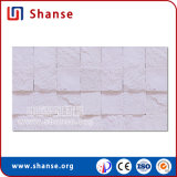 Breathable Frost Resistance Ecological Anti-Seismic Wall Tile with SGS