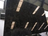 Luxury Imported 600X600 Polished Marble Tiles Dark Emperador Marble
