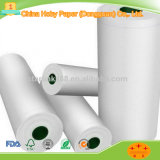 60 GSM Cream or White CAD Recycled America Plotter Paper for Garment Factories Tracing and Drawing