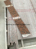 Marble/Granite Stone Tile for Staircase/Tread/Window Sill