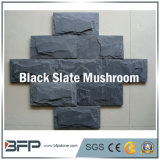Natural Black Slate Stone Mushroom Tiles