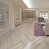 Floor Decoration 300X450mm Livingroom Tiles in China