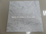 Carrara White Marble, Marble Tiles and Marble Mosaic