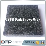 China Popular Granite for Floor Tile & Slab, Step, Riser, Wall