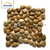 Asian Polished Pebbles Wash Terrazzo River Stone Wall Tiles