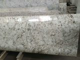Galaxy White Granite Slab for Kitchen/Bathroom/Wall/Floor