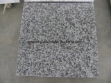 China G439 Big Flower White Granite for Tile, Slab, Countertops