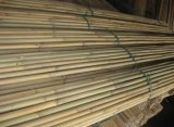 Large Dry Raw Moso Bamboo Poles for Sale