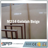 Marble / Granite Big Stone Slab for Step for Building Material