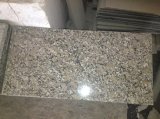 Wholesale Polished Black/White/Brown/Golden/Red/Yellow/Grey Granite Tile for Stair/Countertop