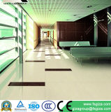 Good Quality Soluble Salt Polished Porcelain Tile 600*600mm for Floor and Wall (M60100J)