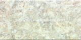 Top Quality of Ceramic Wall Tile for Building Tile