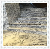 Chinese White/Black Nature Marble Tile for Floor and Steps