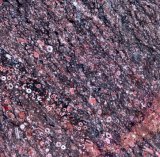 Popular New Granite Stone Ocean Red Marble Tile and Slabs
