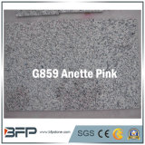 Anette Pink/Red Granite Tile for Construction/Building Material