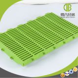 Made-in-China Supplier Plastic Slatted Flooring for Pig