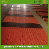 Cheap Pig Slat Floor with Eco Plastic for Pig