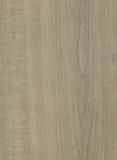 Light Grey Laminate Flooring--Kn1183