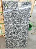 Artistic Solemn G418 Spray White Granite Tile for Wall Siding and Floor Cladding
