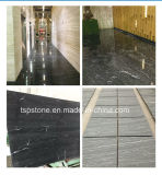 Building Material Marble/Granite/Limestone/Onyx/Quartz Stone Tile for Floor/Flooring/Kitchen/Bathroom/Paving Stone/Wall Tile