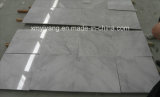 Polished China Carrara White Marble Tile for Floor Wall (YY-VCWT)