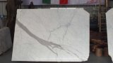 White Statuario Marble, Marble Tile and Marble Slabs
