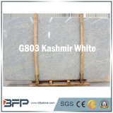 Polished Kashmir White Granite Building Material for Construction