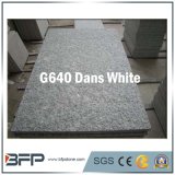 Dans White Flooring Tile Granite for Hotel, Paving, Top, Stairs