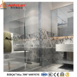 Inkjet Interior Wall Tile Ceramic Tile for Building Material 300X600mm