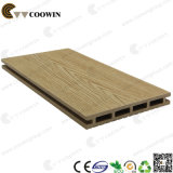 Coowin WPC Plastic Composite Decking for Terrace (TS-04B)