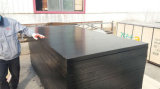 Black Poplar Core Film Faced Shuttering Building Material Plywood (6X1220X2440mm)