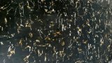 Faux Marble Material Decorative Interior Wall Panels