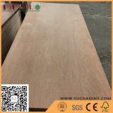 1160*2400*28mm Grooved Container Flooring Plywood