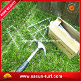 Turf Artificial Grass for Golf Field