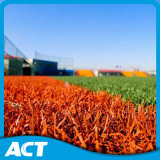 Cheap Price Artificial Grass, Synthetic Turfsports Flooring (PD/SF10W6)