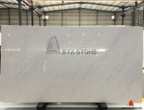 Elegant Imported Ariston Tiles White Marble Slabs