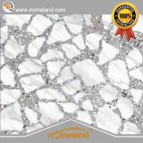 Quality Porcelain/Ceramic Glazed Terrazzo Tiles for Floor and Wall 600X600
