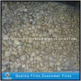 Wholesale Natural Loose Yellow Pebble Wash Stone for Garden Stone