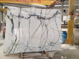 New Product Orchid Jade Polished Green Marble Tile