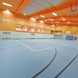 Eco-Friendly Leisure Venues Flooring for Gyms, Weight Rooms