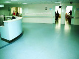 Good Quality Vinyl and PVC Environment Roll Office Floor