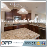 Granite Vanity Top (Shanxi Black) Marble Quartz Building Material Slab Tiles