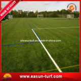 Professional Soccer Artificial Grass with SGS Certificate