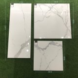 Polished White Marble Wall or Floor Italy Concept Tile (VAK1200P)