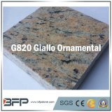 Giallo Ornamental Brazil Yellow Granite Floor Tile for Countertop