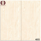 Building Material Digital Wall Tile Floor Tiles (4855)