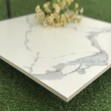 Polished White Marble Tile for Wall & Floor Interior Tile (CAR1200P)