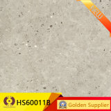Make in Foshan 600X600mm Glazed Tile Floor Porcelain Tile (HS60011B)