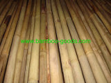 Bamboo Poles for Garden Plant