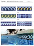 Mosaic Border Swimming Pool